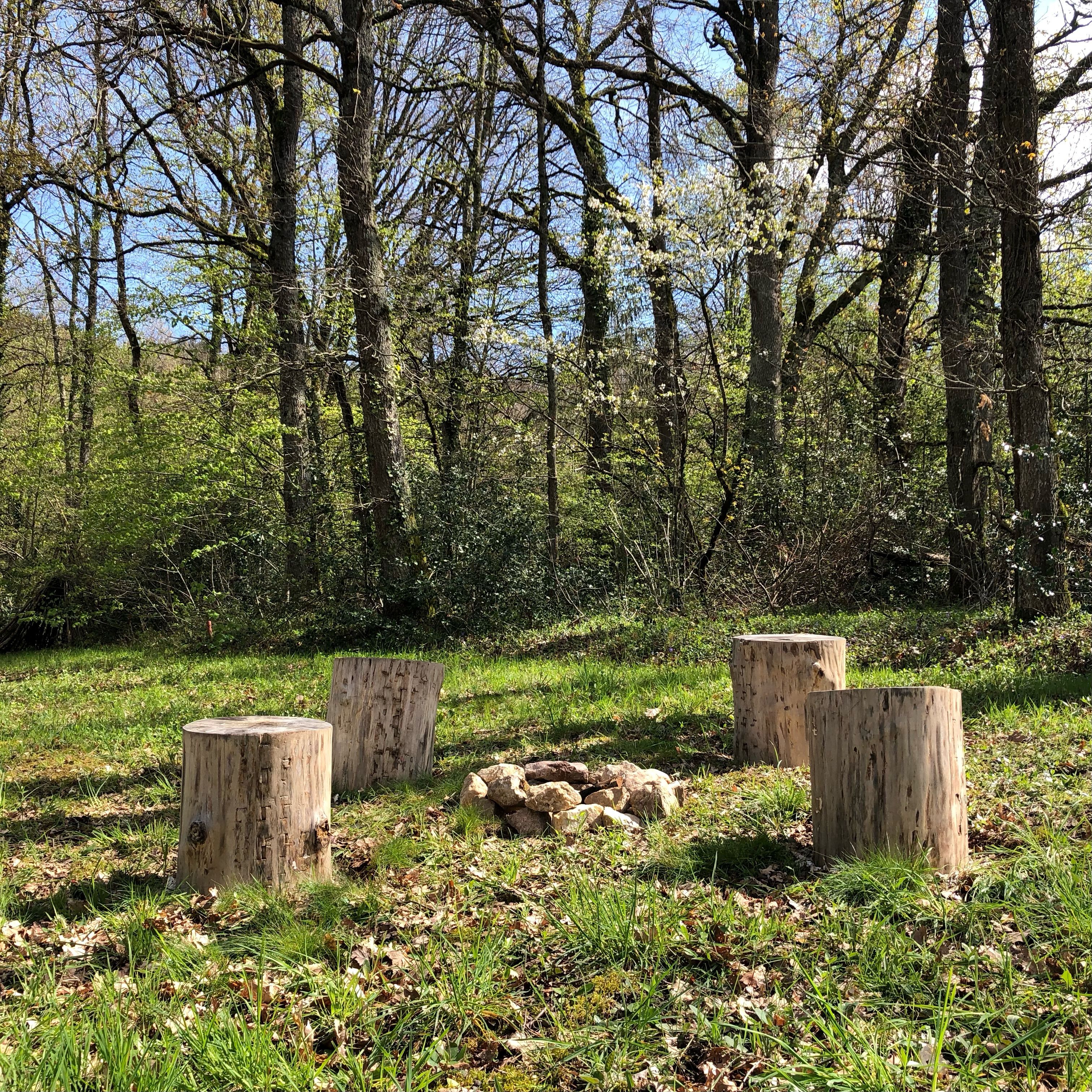 Un cadre naturel en plein air comprenant une zone herbeuse, plusieurs souches d’arbres et un tas de pierres.