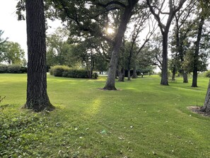Een park met diverse bomen en een verzorgd gazon.