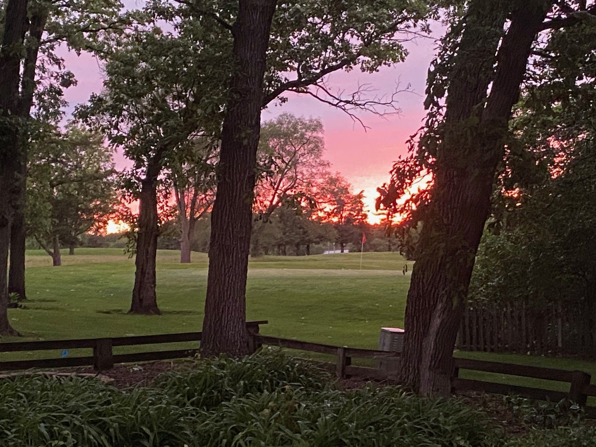 A park with trees and a grassy area.