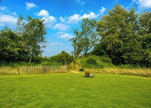 A grassy field with trees and a wooden fence.