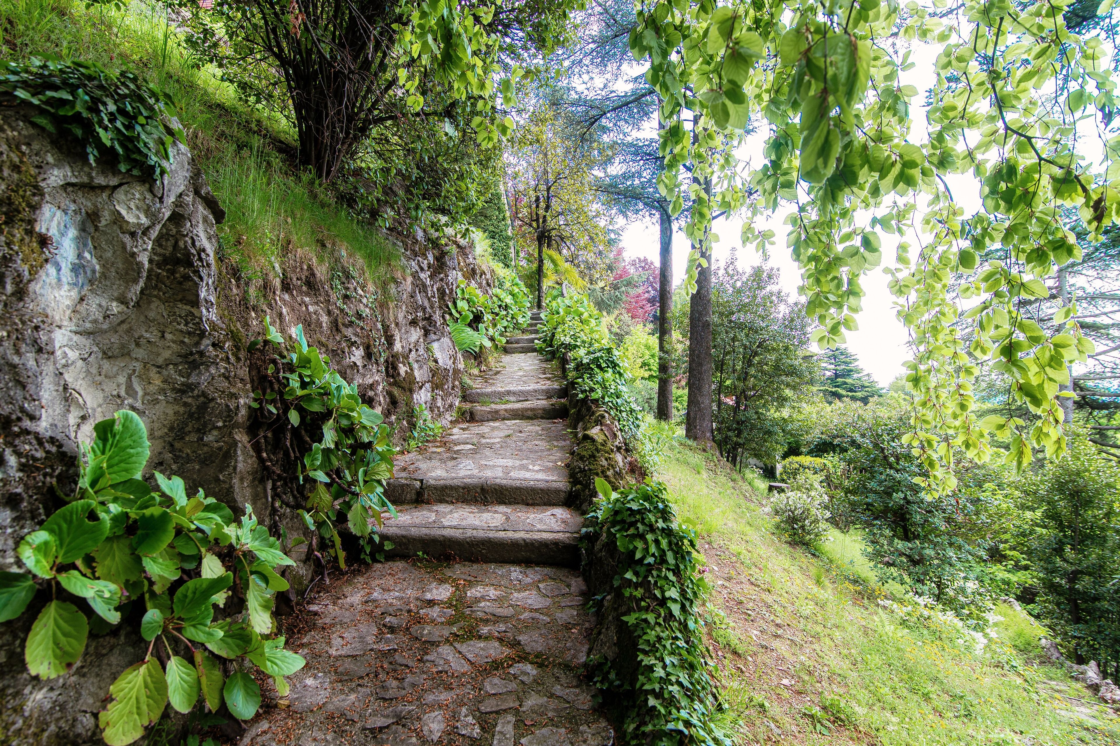 Un escalier en pierre, entouré d’une végétation luxuriante et d’arbres.