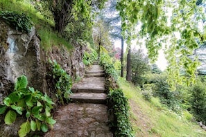 Una escalera de piedra rodeada de exuberante vegetación y árboles.