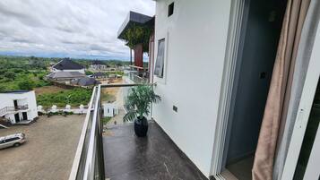 Un balcón con una planta en maceta, vista a una zona residencial y un edificio con techo oscuro.