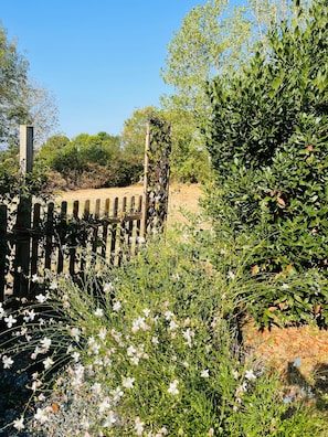 A garden with a wooden fence, various plants, and flowers.