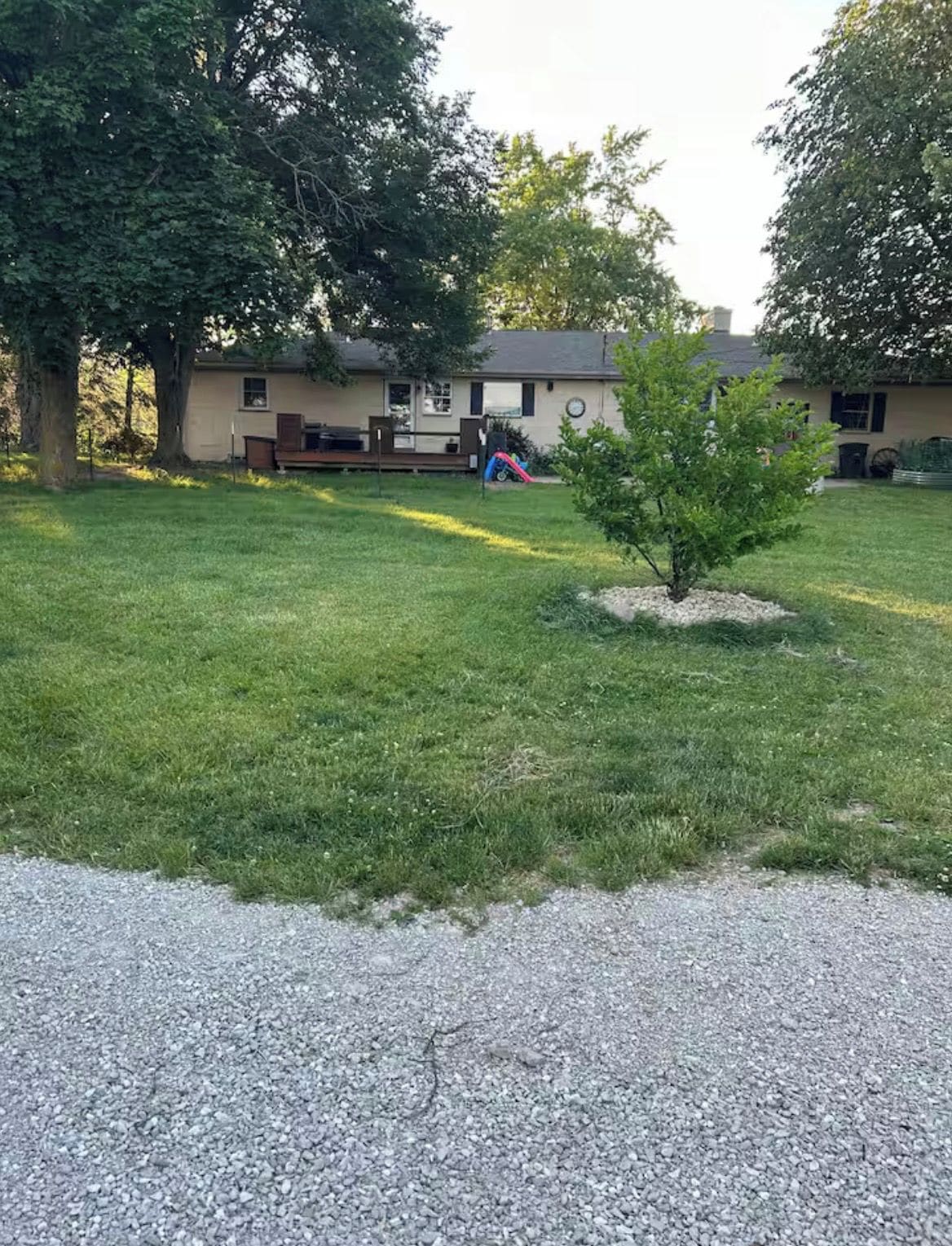 A residential backyard with a lawn, a small tree, and a house in the background.