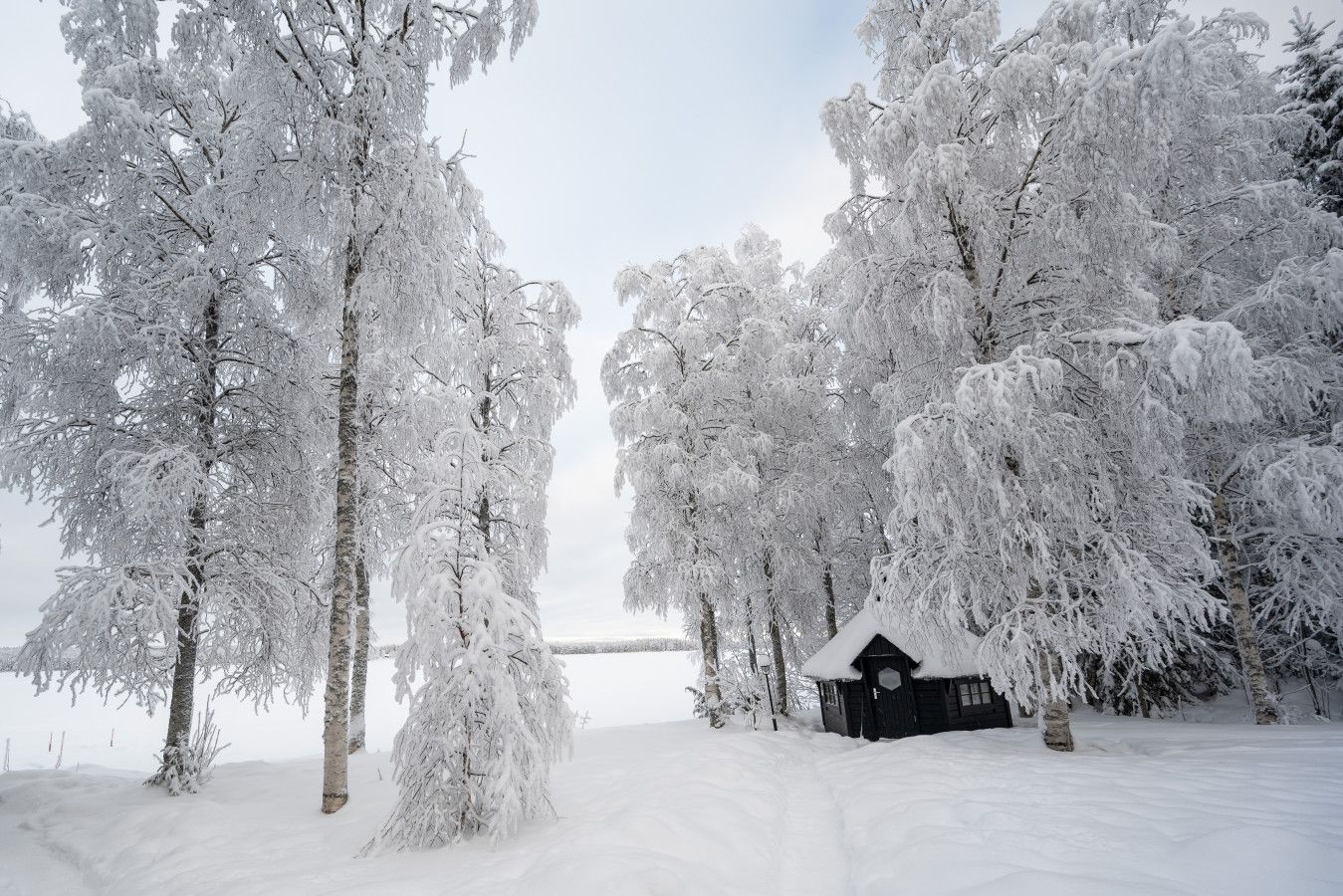 Un paysage enneigé avec une cabane et des arbres.