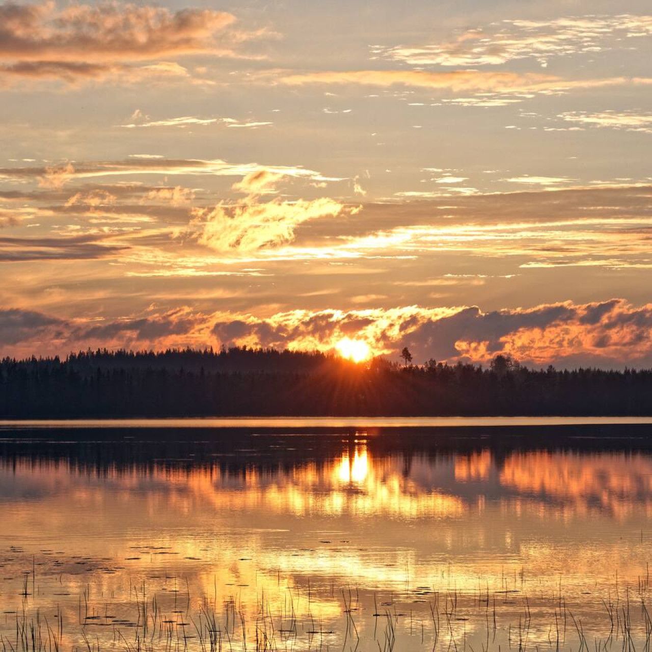 A sunset over a calm lake with a forest in the background.