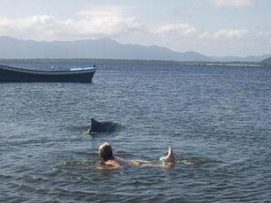 A person swimming in a body of water with mountains in the background and a boat on the left. - Casa no Centro Histórico de Cananéia – Perto de Tudo e da Beira-Mar (Cananéia)