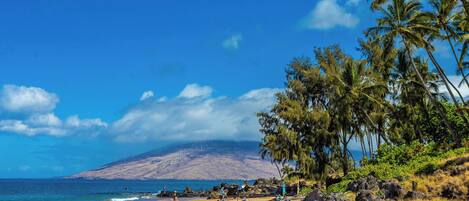 A beach with clear skies, palm trees, and a mountain in the background.