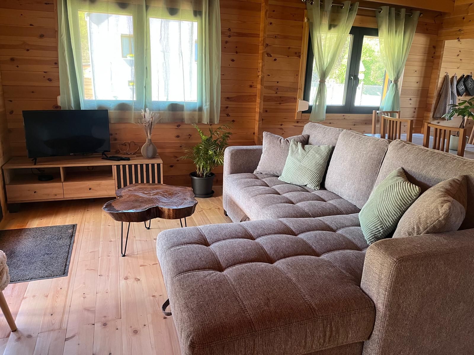 A cozy cabin interior with a sofa, a television, a coffee table, and a potted plant.