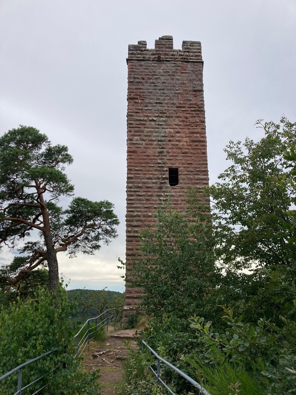 Ein hoher Backstein-Turm mit einem schmalen Fenster, umgeben von Grünpflanzen und einem Metallgeländer.