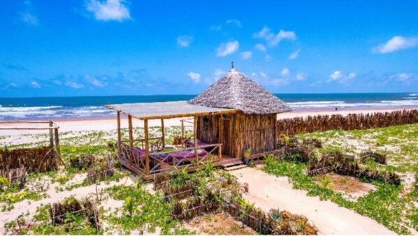 A beach hut with a thatched roof, surrounded by vegetation, and a sandy beach in the background.