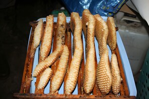 Une assiette de poisson frit à la peau croustillante, disposé sur un présentoir en bois.