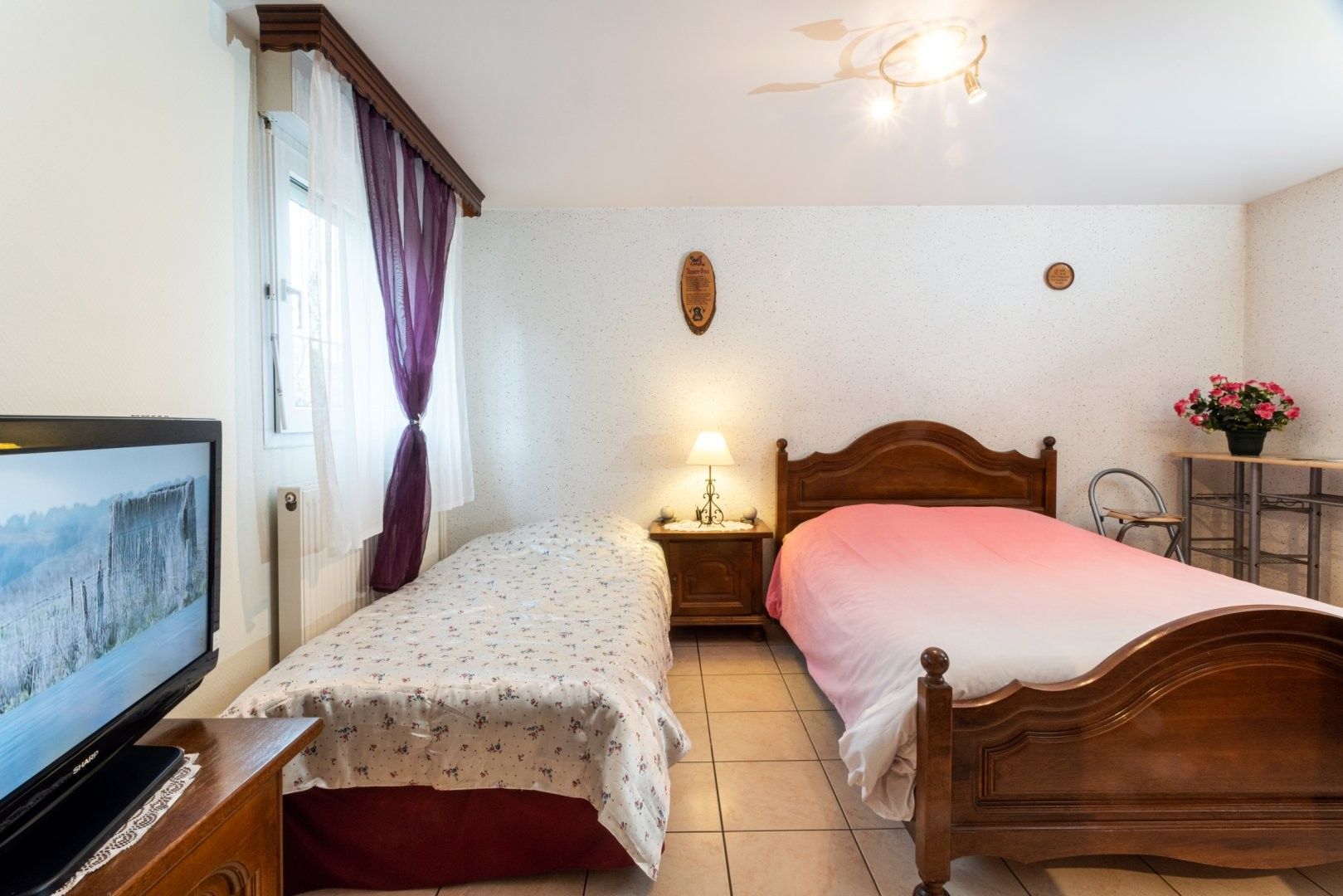 A bedroom with two beds, a TV, a bedside table with a lamp, a small table with flowers, and a wall-mounted decoration.