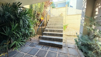 A stone staircase leading to a door, surrounded by potted plants and a brick wall.