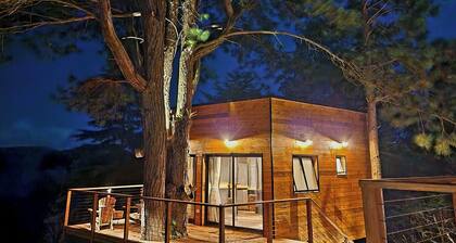 Treehouse in Campos do Jordão, a romantic retreat of good taste and tranquility.