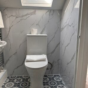 A bathroom with a toilet, a sink, and a skylight.
