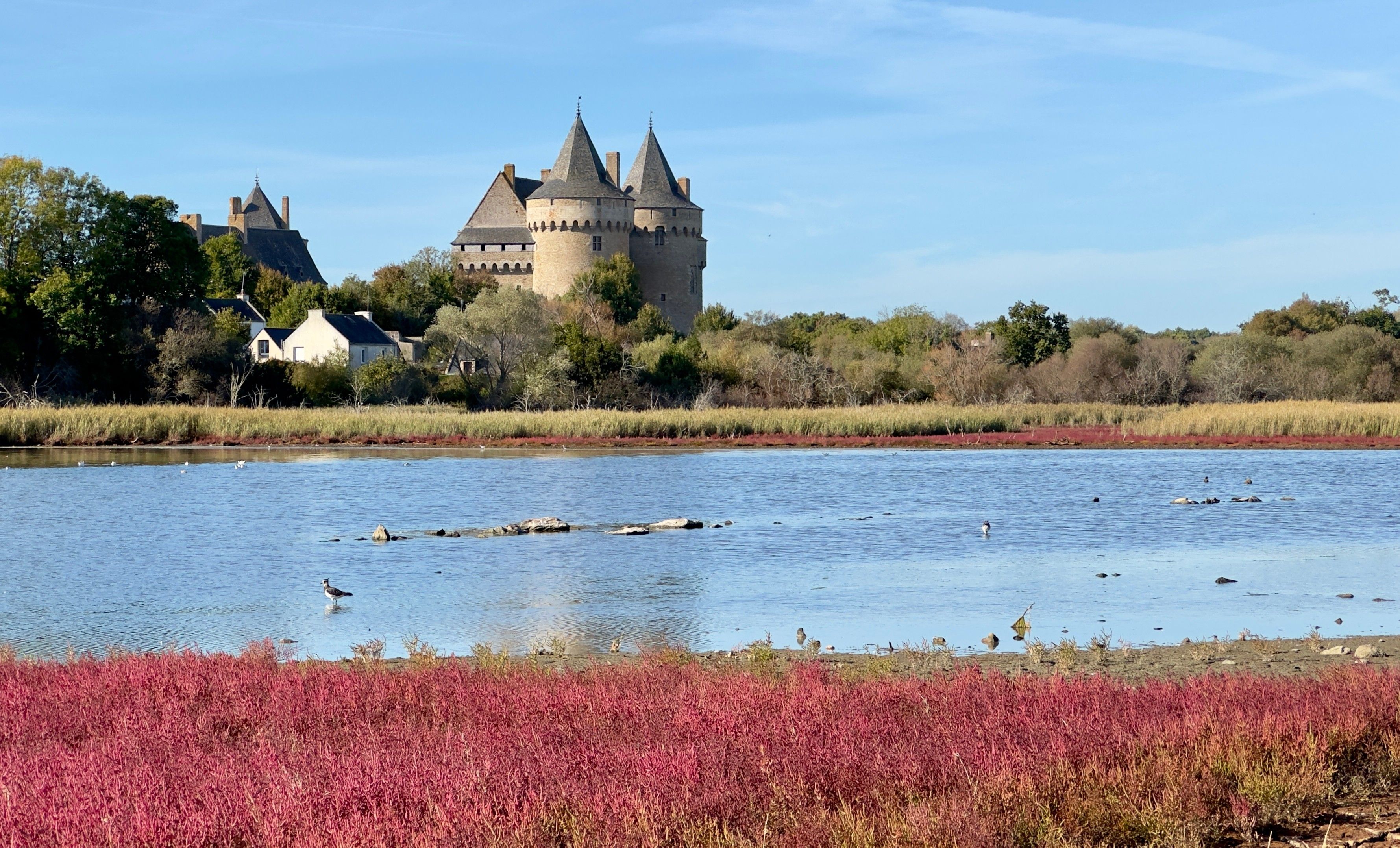 A castle with multiple towers by a calm body of water, surrounded by fields and trees.