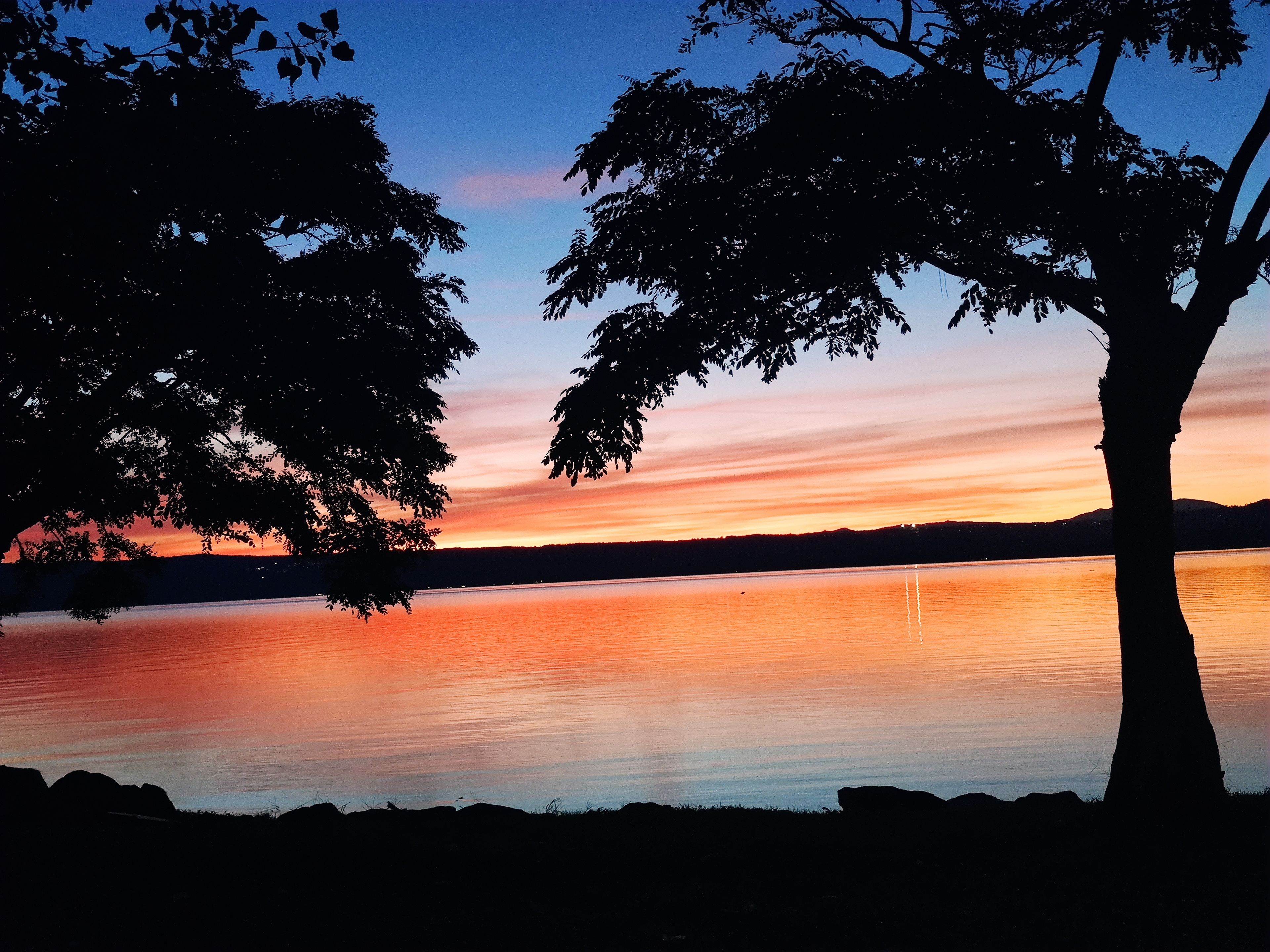 Cena tranquila à beira do lago, com árvores emoldurando a paisagem.