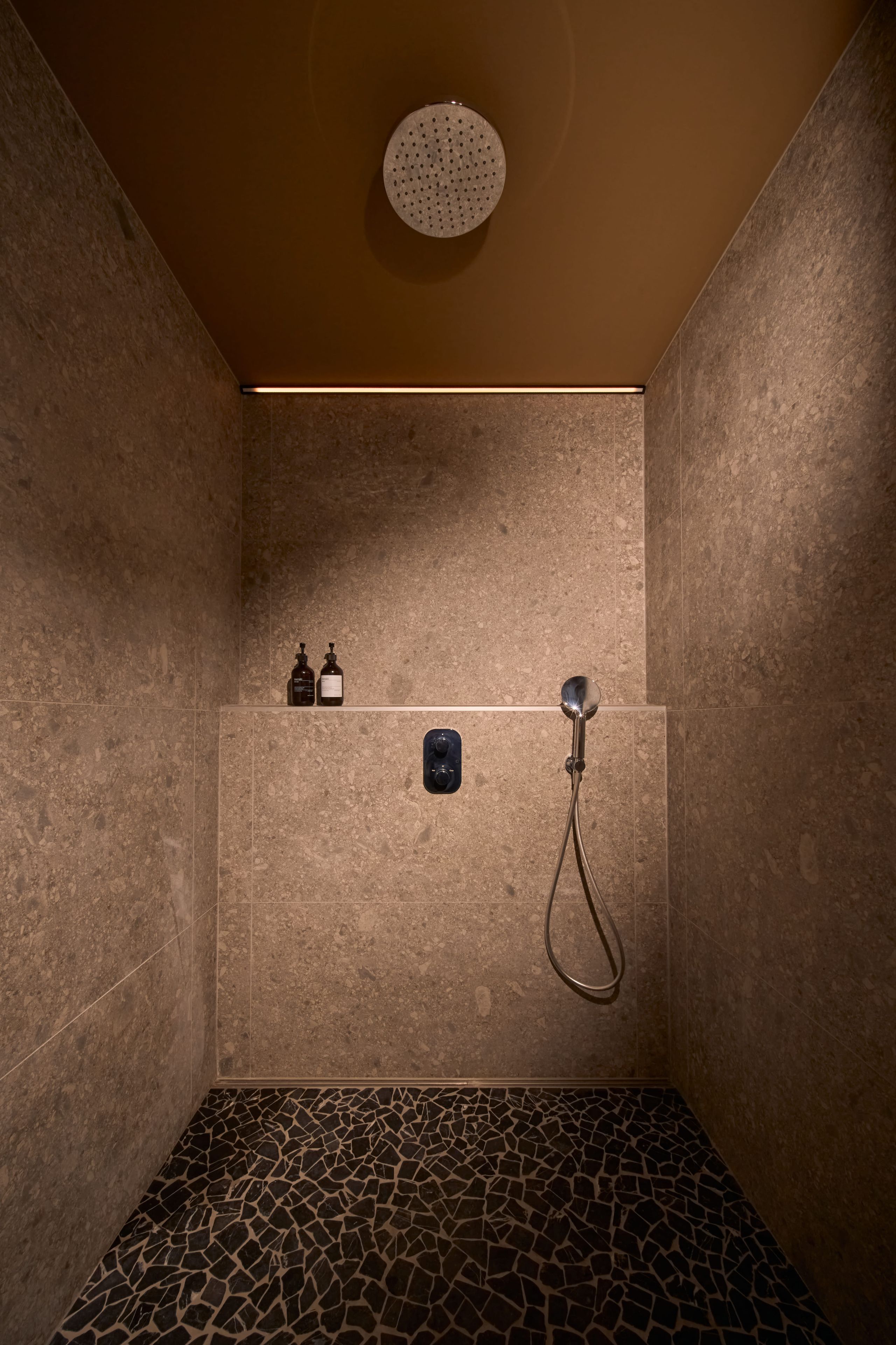 Een douche met een handdouche, een bedieningspaneel aan de muur en twee flessen op een plank.