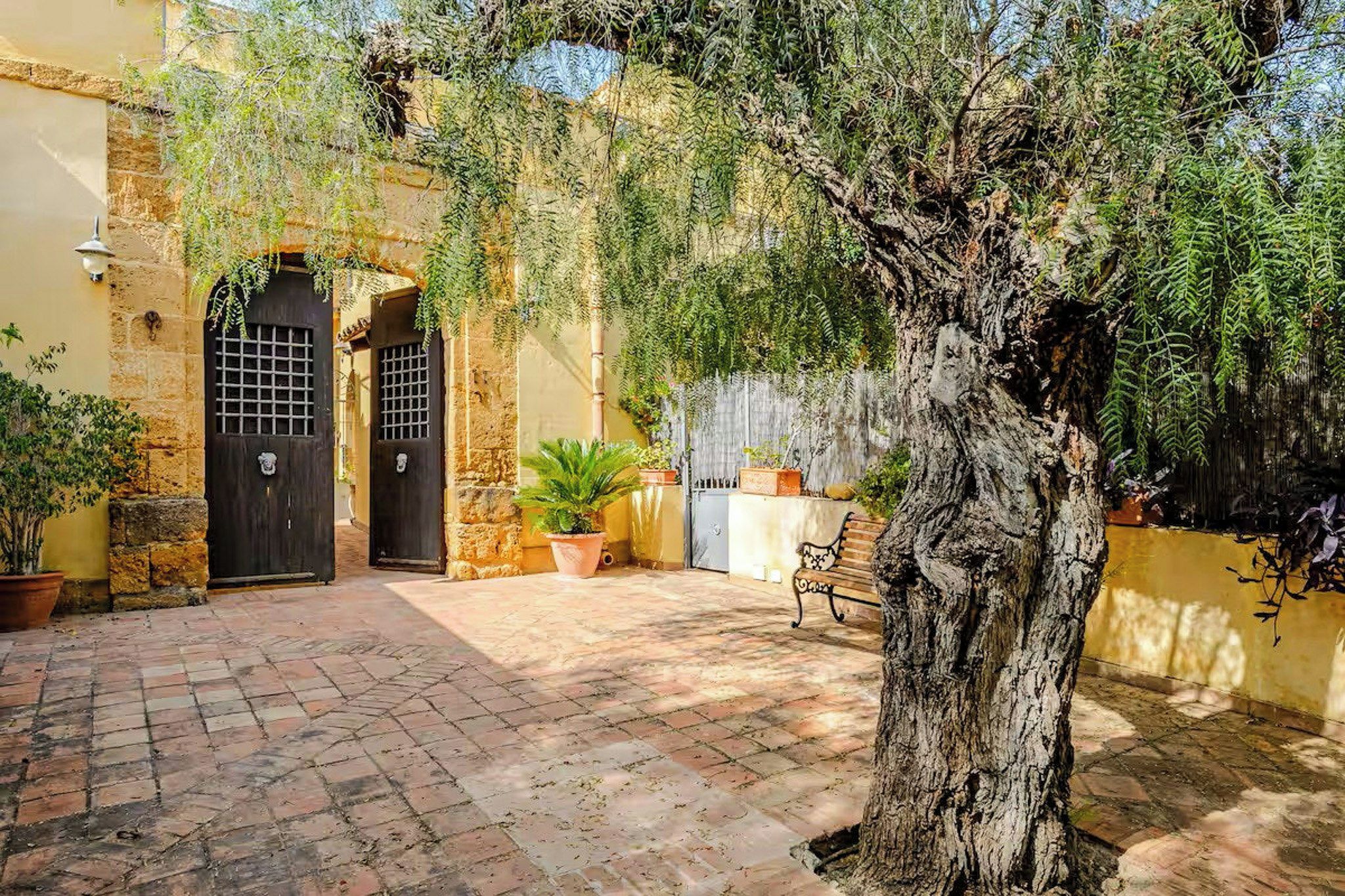 A courtyard with a stone floor, a tree, and a building with a black door and window grille.