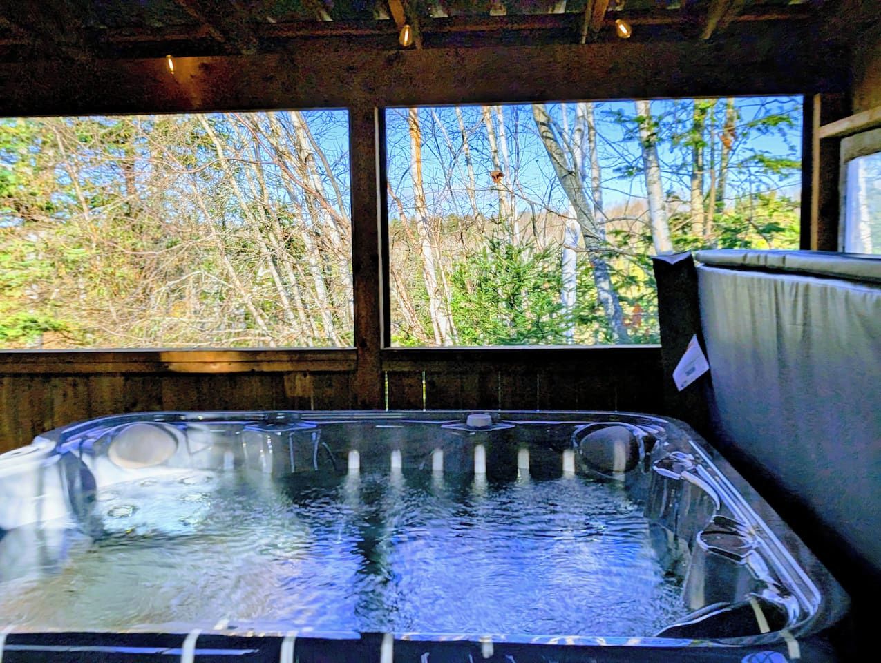 A hot tub with a view of trees through a window.