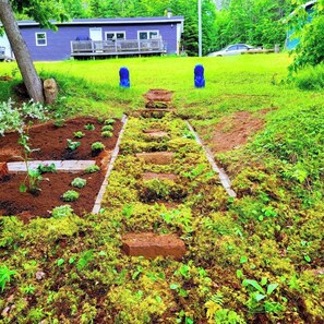 A garden with raised beds and a pathway leading to a house.