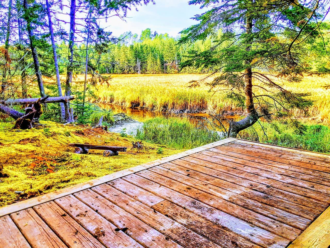 A wooden deck overlooking a natural landscape with trees and a body of water.