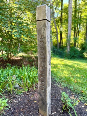 Un poteau en bois orné de sculptures et placé dans un environnement naturel.