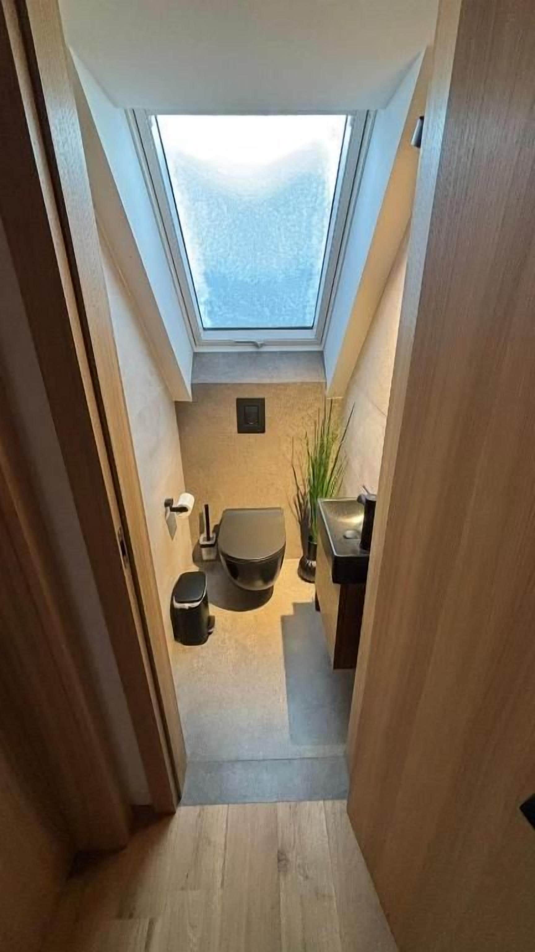 Kapea käytävä johtaa kylpyhuoneeseen, jossa on kattovalokuvio, wc-istuin ja pesuallas.