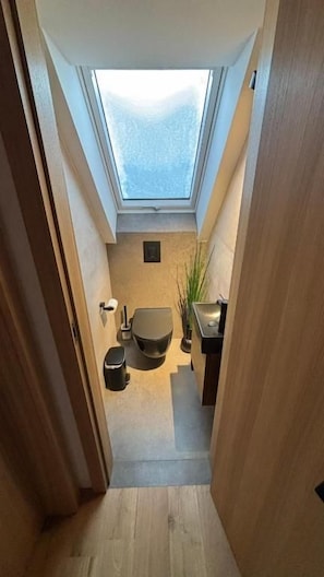 Un pasillo estrecho que da a un baño con tragaluz, inodoro y lavamanos.