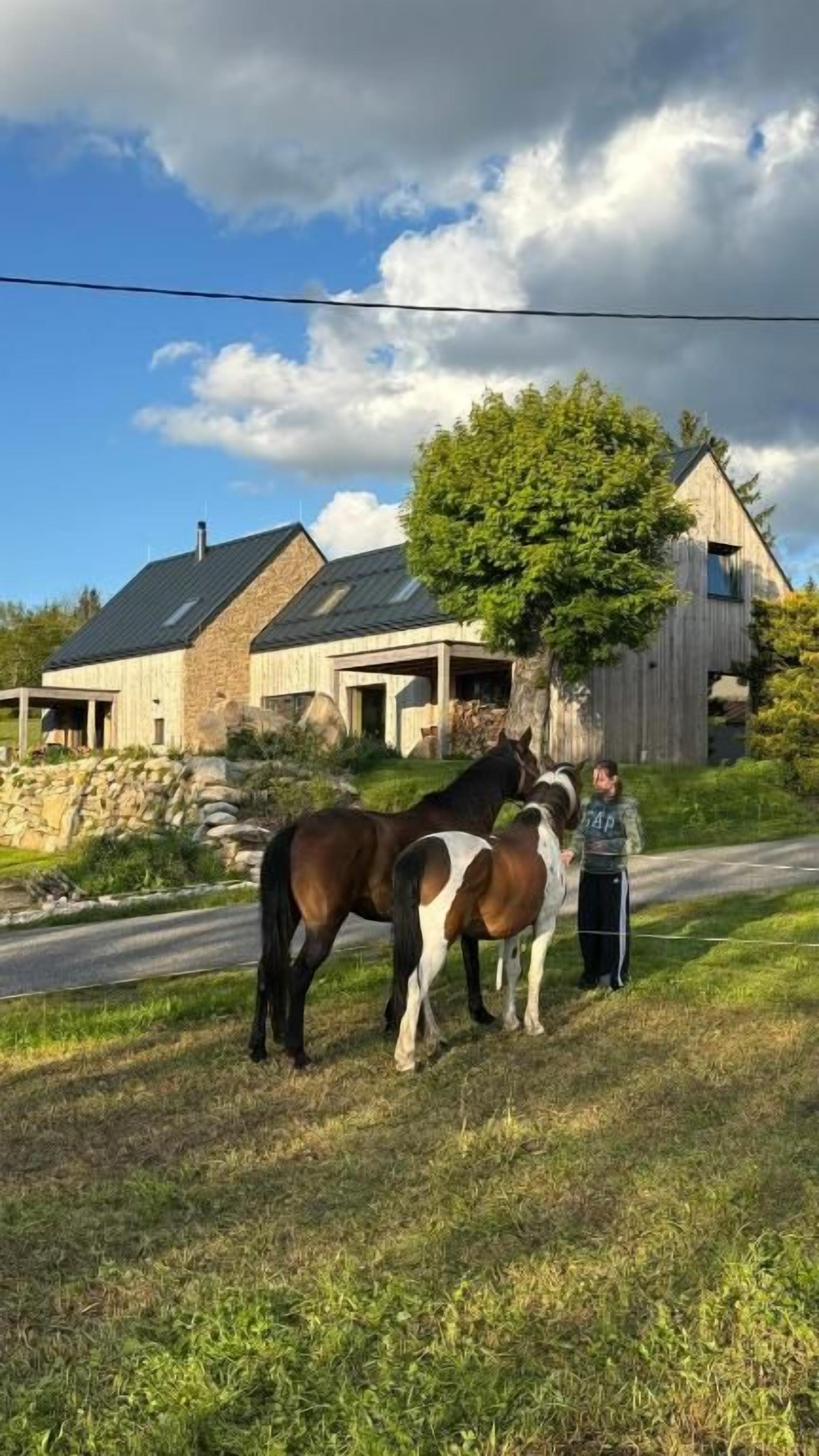 A house with a stone facade, a large tree, and two horses.