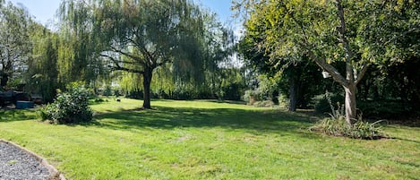 Een verzorgd gazon met bomen en een grindpad.