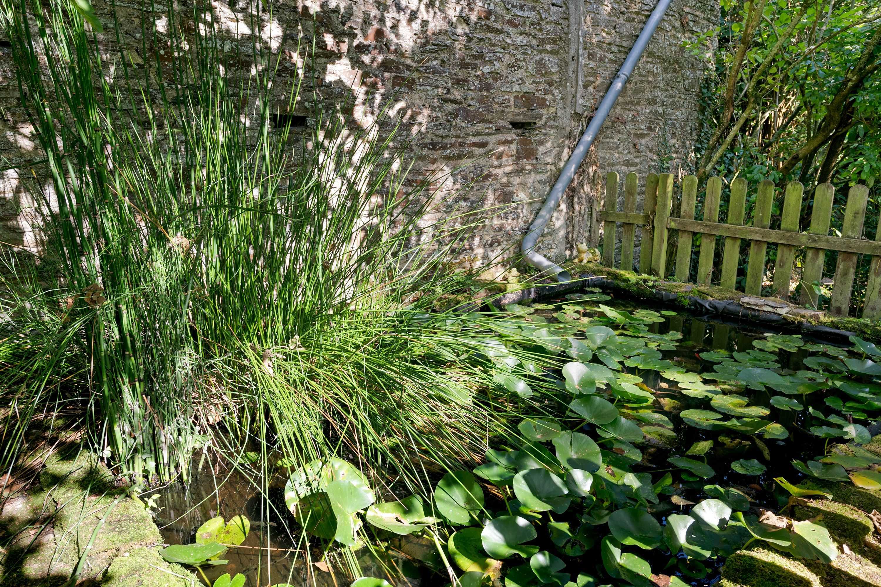 Un jardin avec un mur de pierre, une clôture en bois et des nénuphars.