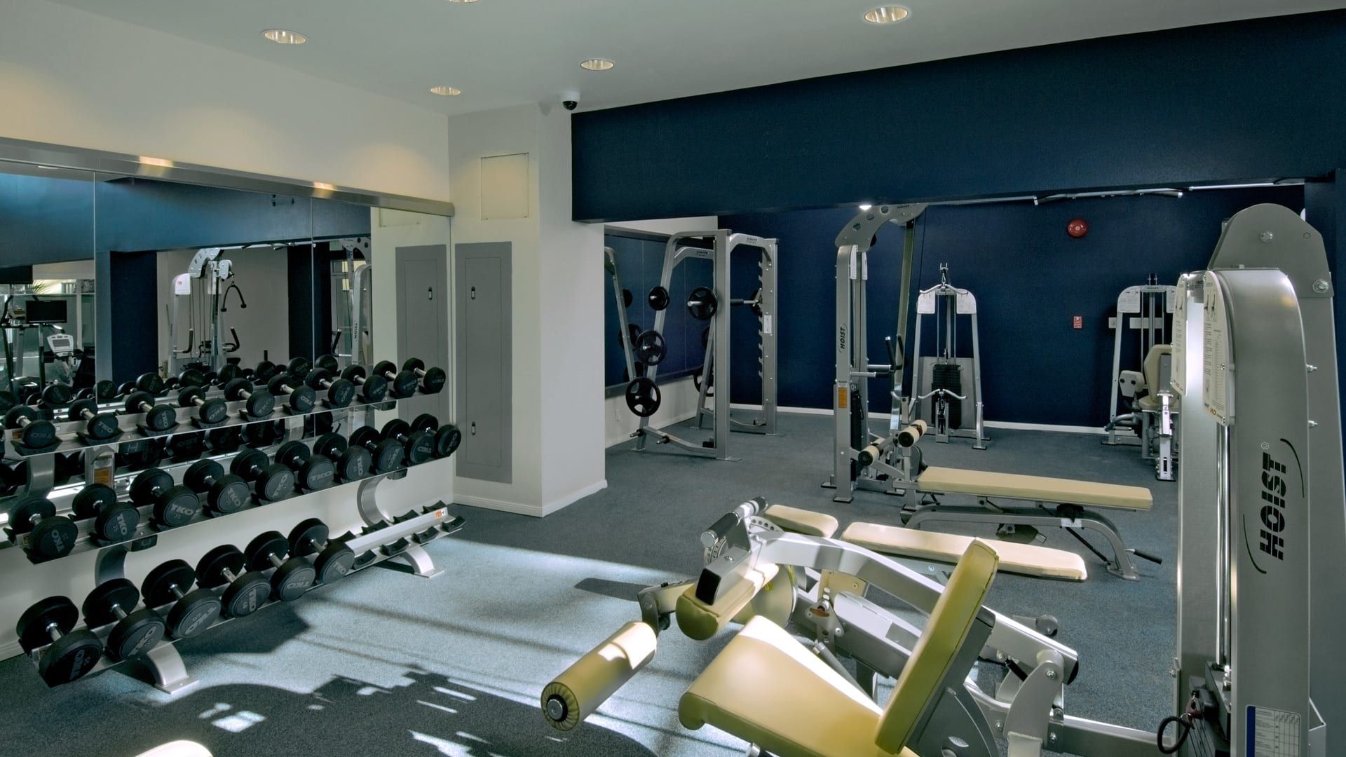 Un gimnasio con equipamiento de levantamiento de pesas, espejos y una pared azul.