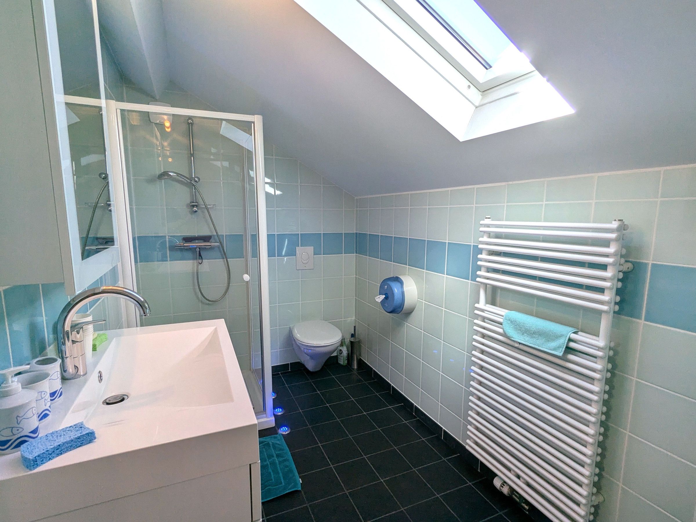 A bathroom with a shower, toilet, and a radiator.