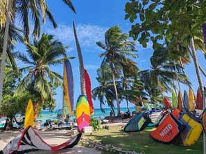 Una platja amb palmeres i parapentes de colors.