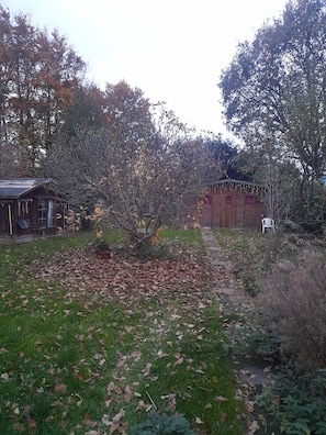 A garden with a tree, a wooden shed, and a brick building.