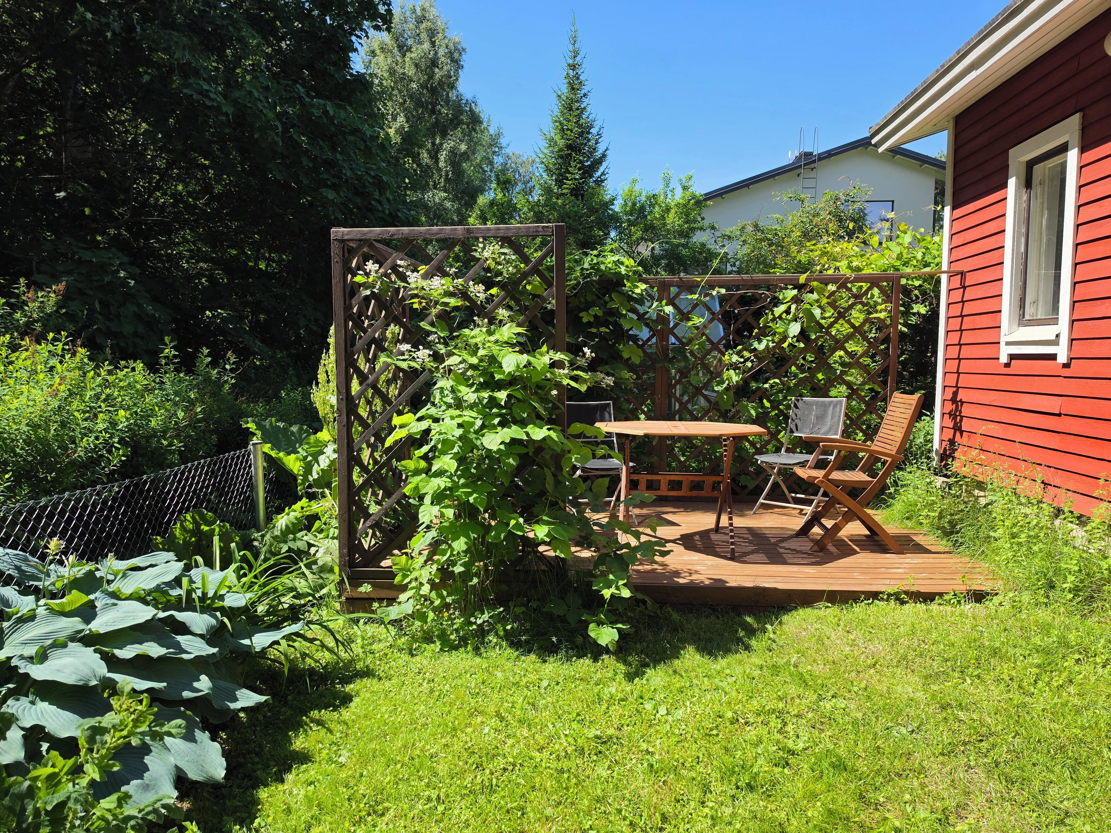 En træterrasse med et bord og stole, omgivet af frodig vegetation og en rød bygning.