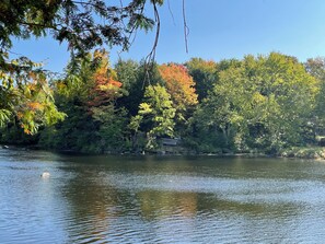 A calm lake surrounded by dense trees with autumn foliage.