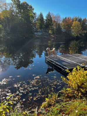 A dock extending into a calm lake surrounded by trees.