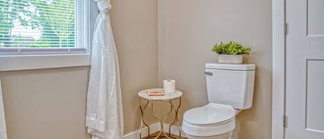 A small bathroom with a toilet, a small table with a roll of toilet paper, a potted plant on the toilet tank, and a window with curtains.