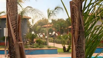 Una piscina con agua azul cristalina, rodeada de palmeras y vistas a una zona residencial con casas y vegetación.