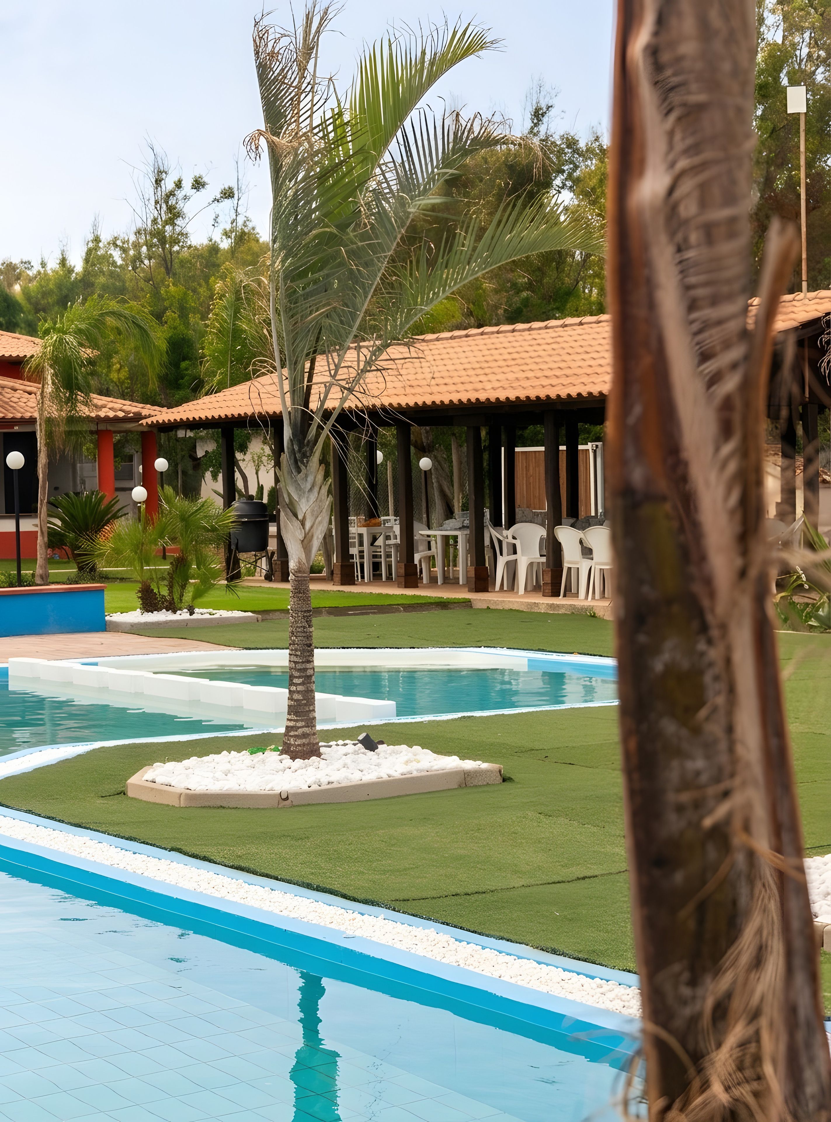 Una piscina amb una palmera, envoltada per un porxo cobert amb caires i taules.
