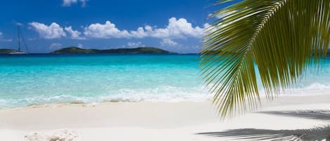 A beach with clear turquoise water, white sand, and a palm tree.