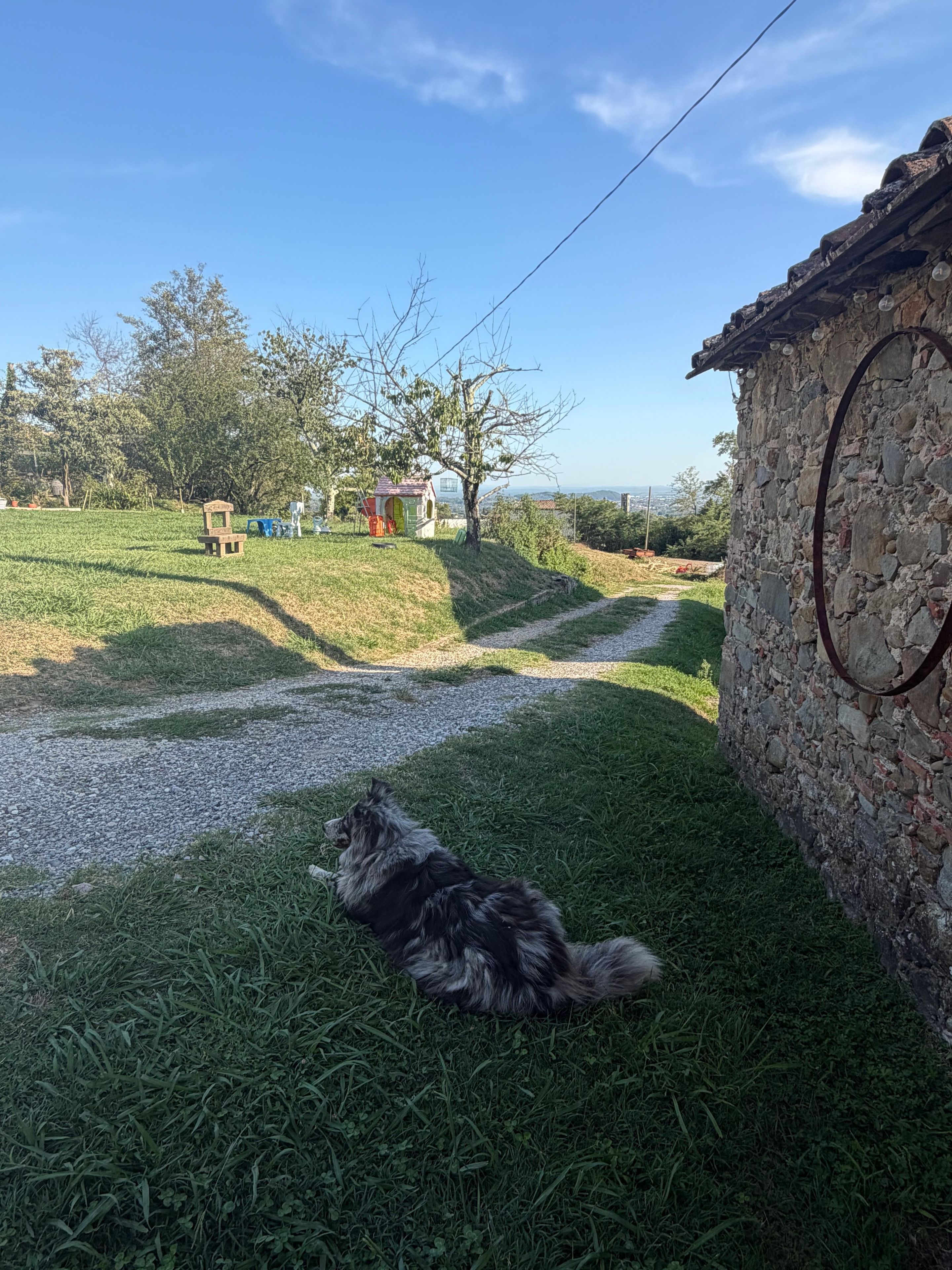 Un chien allongé sur l’herbe, près d’un mur de pierre, avec un chemin menant à une petite maison.