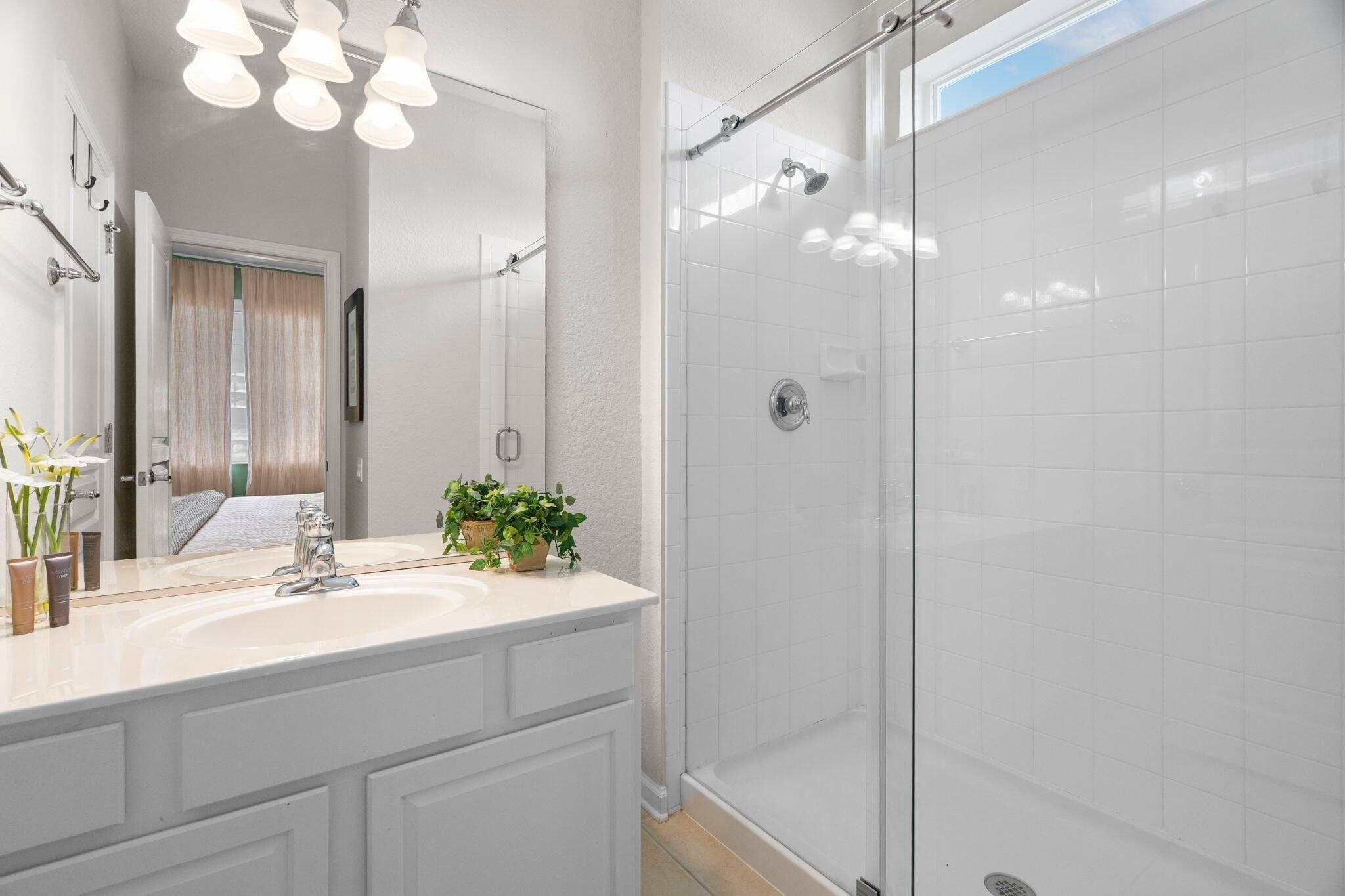 A modern bathroom with a glass shower enclosure, a white sink with a mirror above, and a potted plant on the counter.