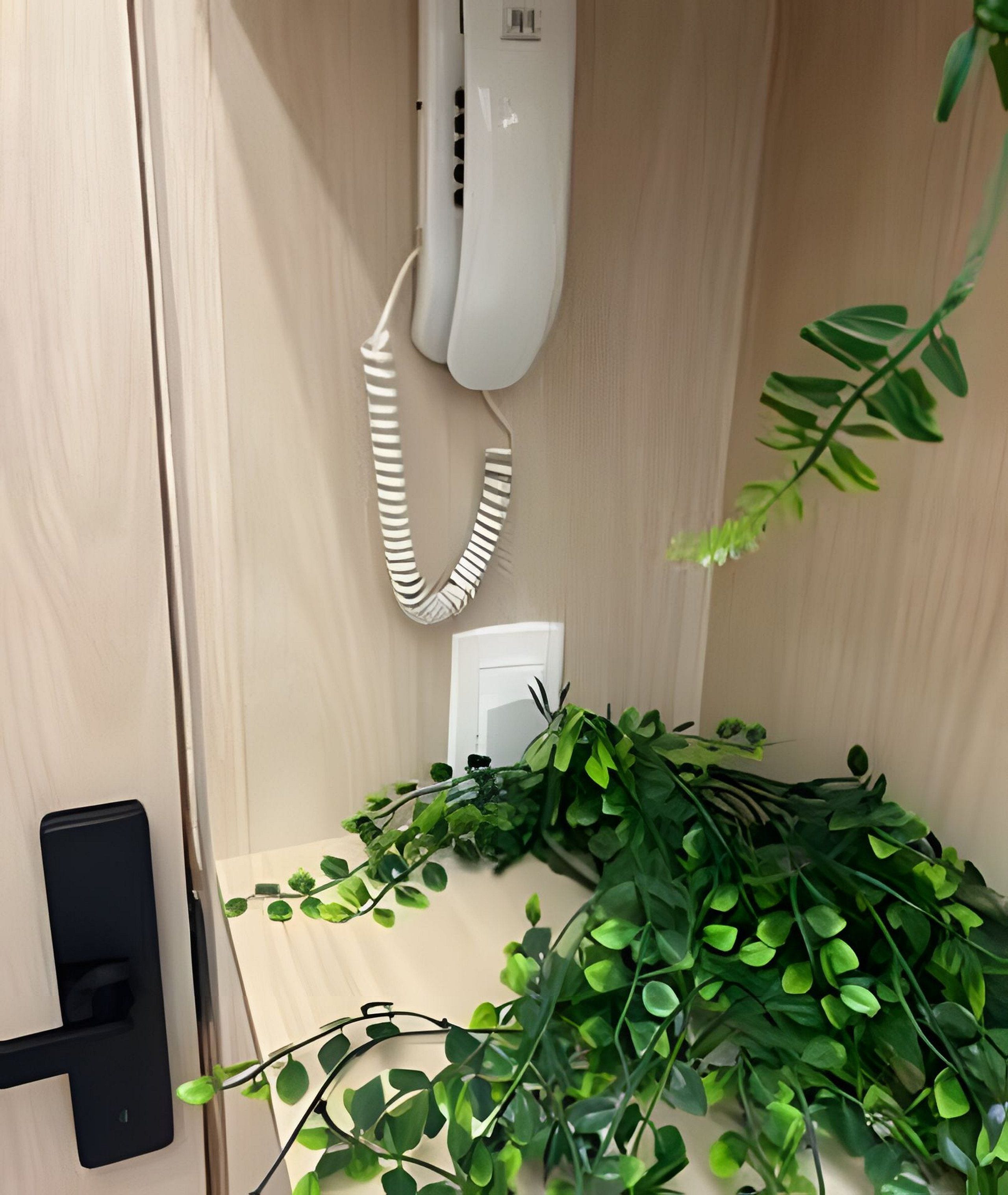 A wooden door with a white telephone and a power outlet.