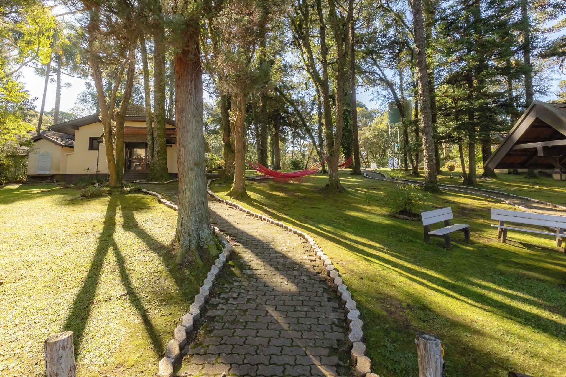 Un sendero pavimentado que atraviesa un área boscosa con bancos y una hamaca.