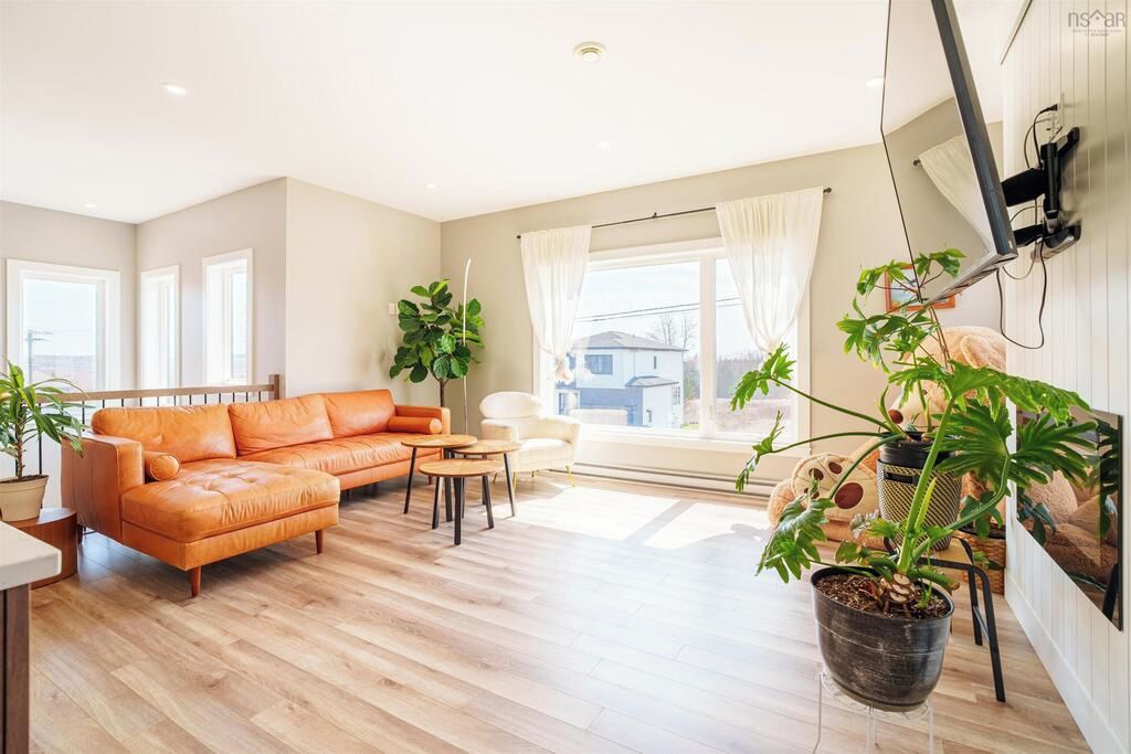 A living room with a sofa, a coffee table, and potted plants.